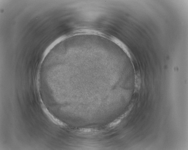 X0000082741098200702240006