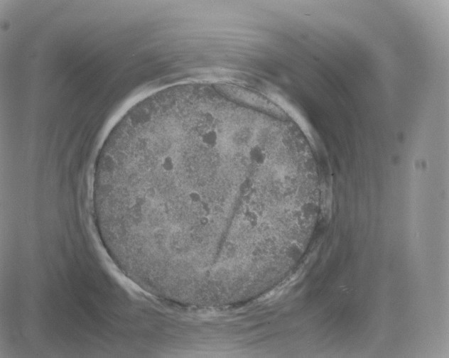 X0000082741099200702240006