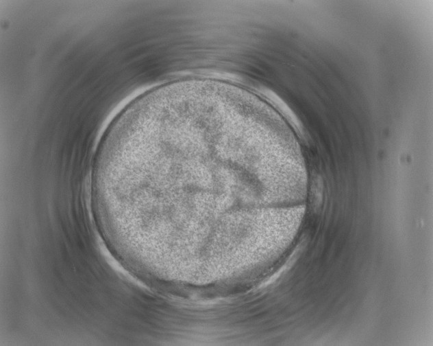 X0000082741100200702240006