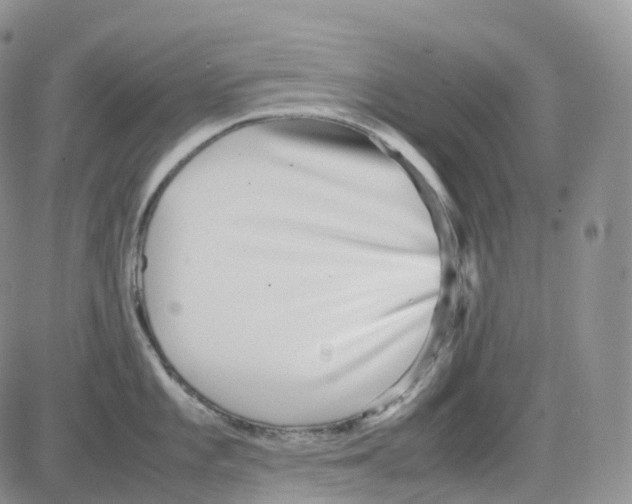 X0000082741101200702240006