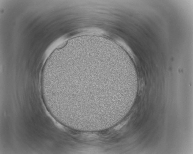 X0000082741103200702240006