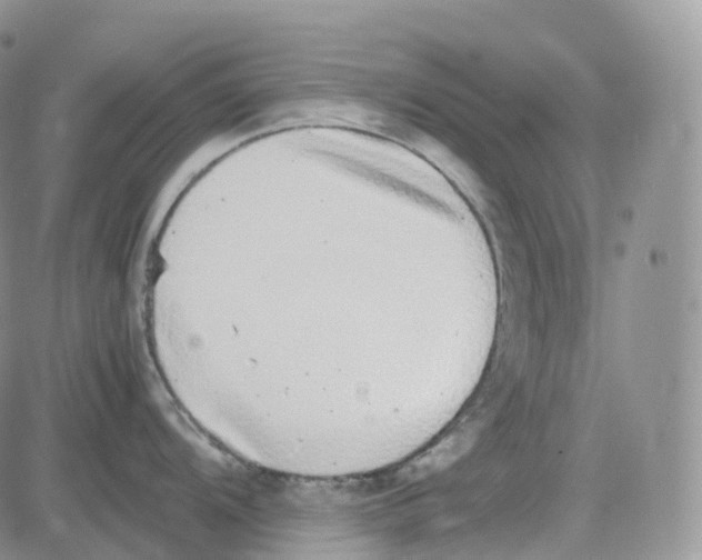 X0000082741104200702240006