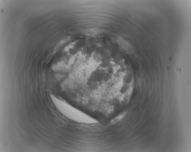 X0000082741106200702240006