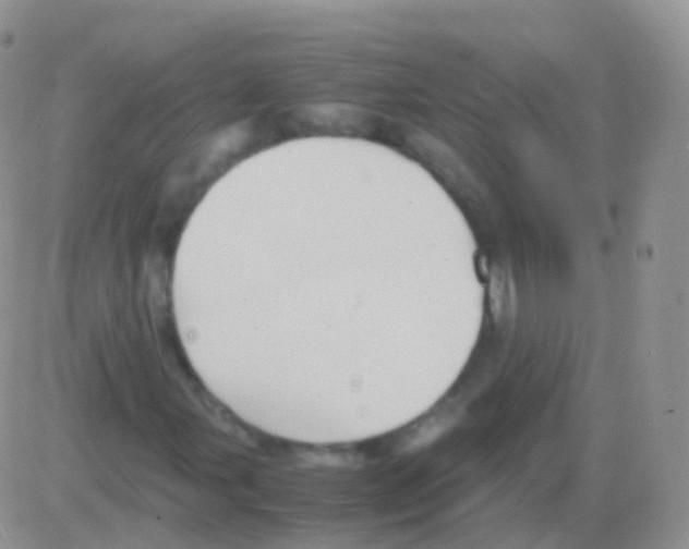 X0000082741107200702240006