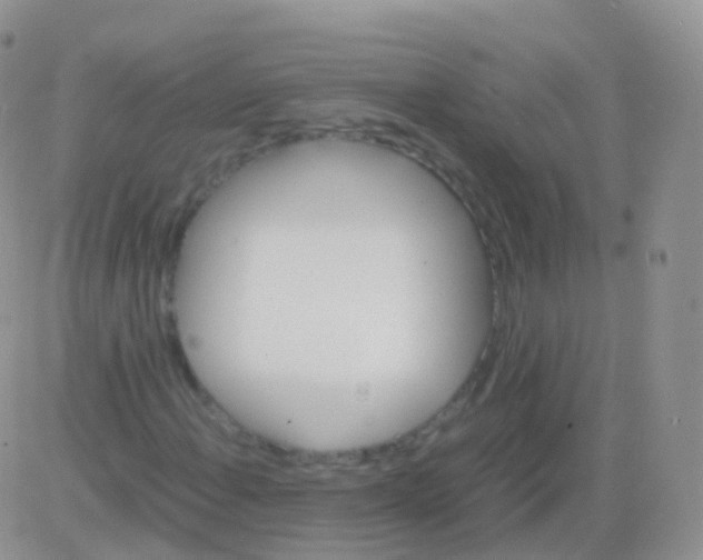 X0000082741108200702240006