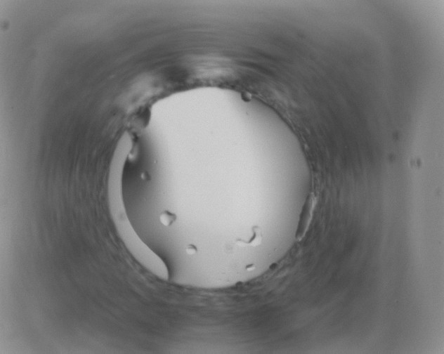 X0000082741109200702240006