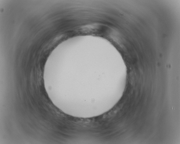 X0000082741111200702240006