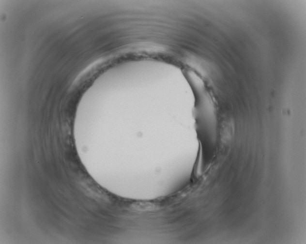 X0000082741112200702240006