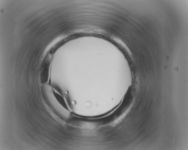 X0000082741114200702240006