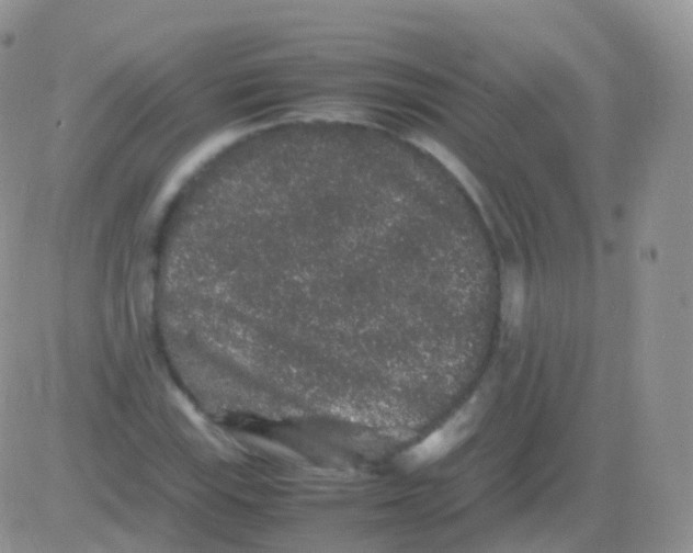 X0000082741115200702240006