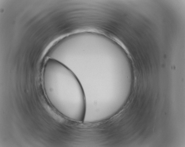 X0000082741116200702240006