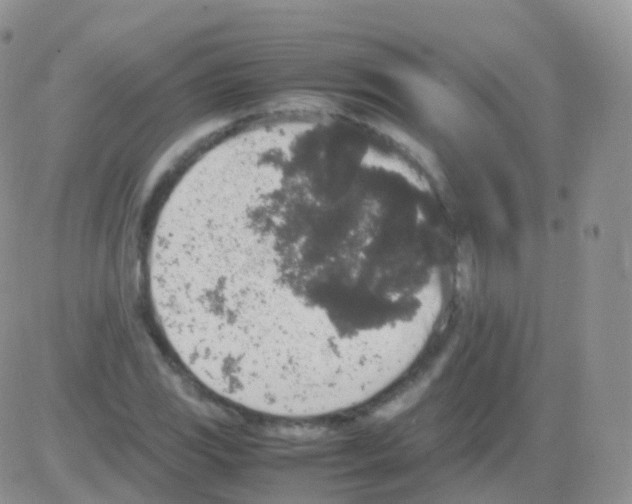 X0000082741117200702240006