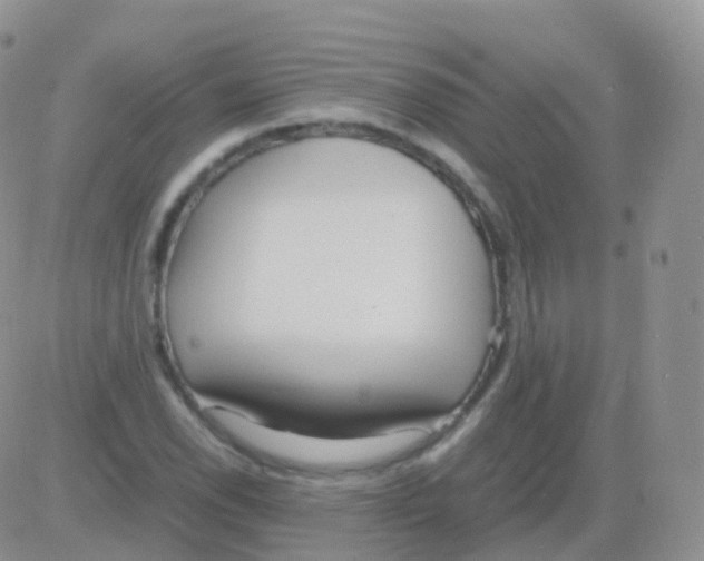 X0000082741118200702240006