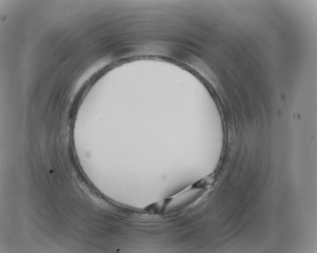 X0000082741119200702240006