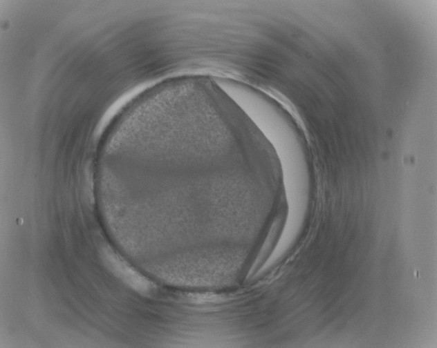 X0000082741120200702240006