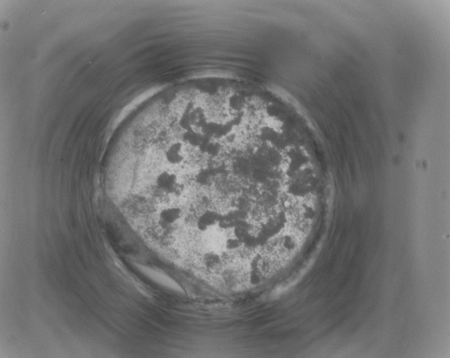 X0000082741121200702240006