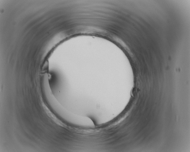 X0000082741122200702240006