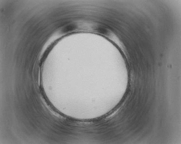 X0000082741123200702240006