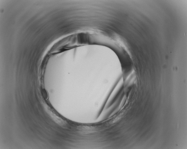 X0000082741124200702240006