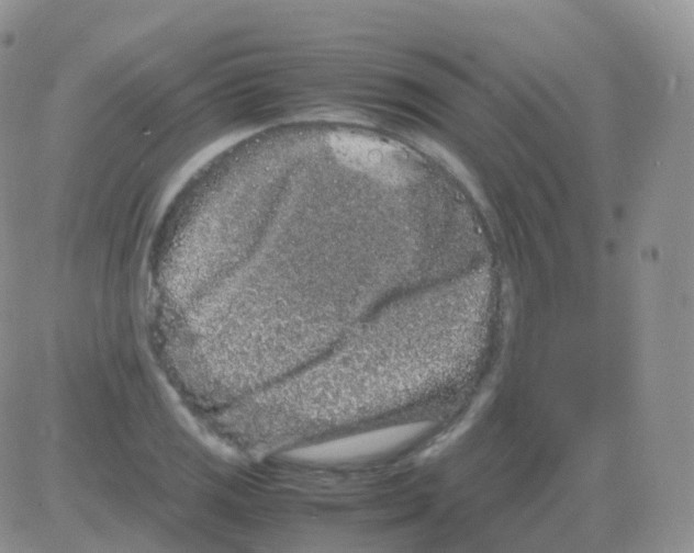 X0000082741125200702240006