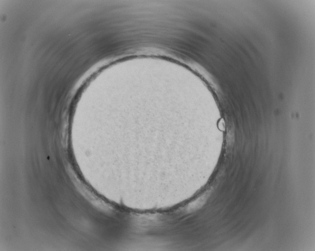 X0000082741126200702240006