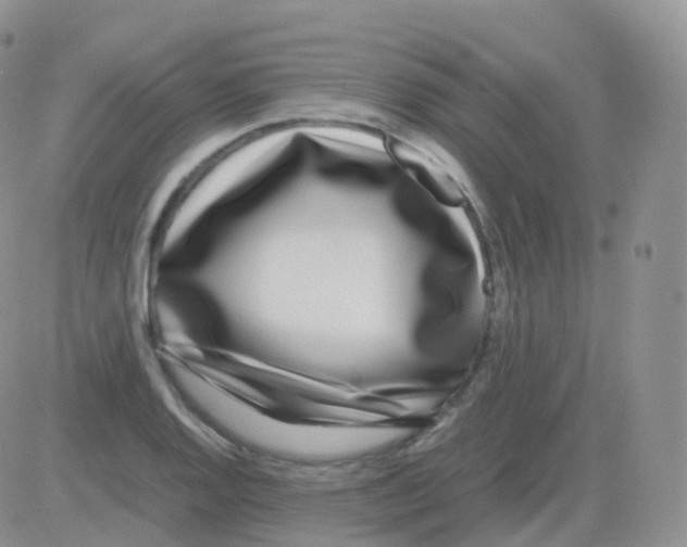 X0000082741128200702240006