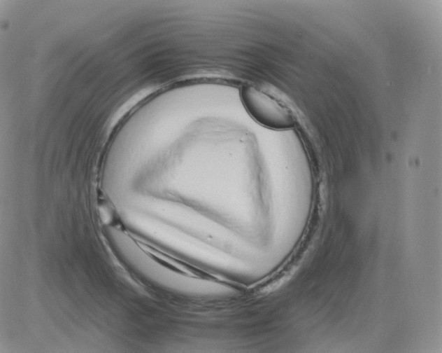 X0000082741129200702240006