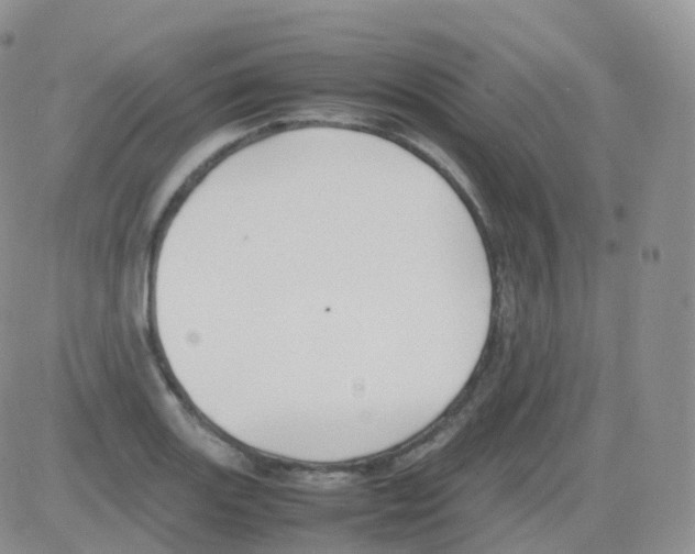 X0000082741131200702240006