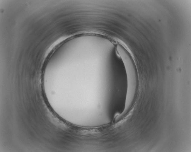 X0000082741133200702240006