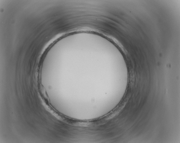 X0000082741134200702240006