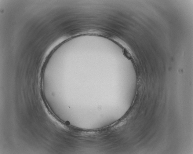 X0000082741135200702240006