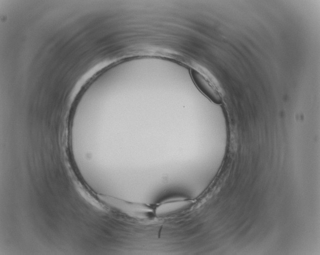 X0000082741136200702240006