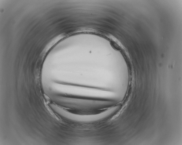 X0000082741137200702240006