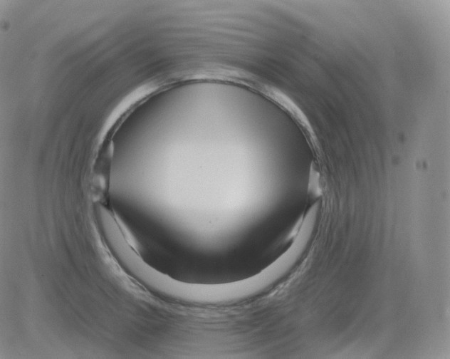 X0000082741138200702240006