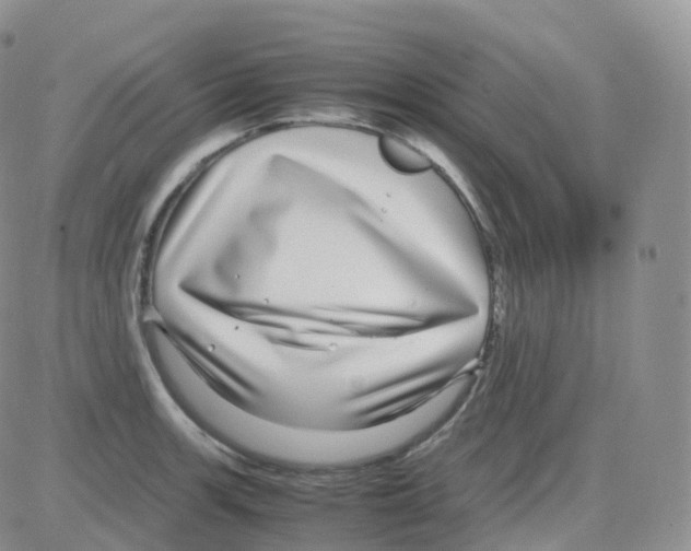 X0000082741139200702240006