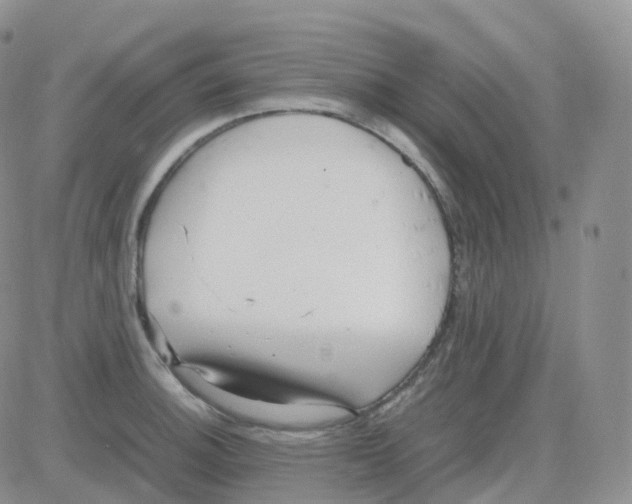 X0000082741140200702240006