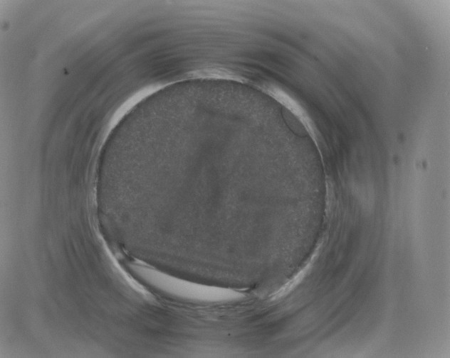 X0000082741141200702240006