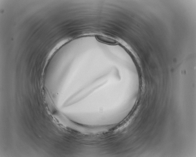 X0000082741145200702240006