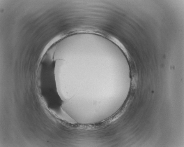 X0000082741146200702240006