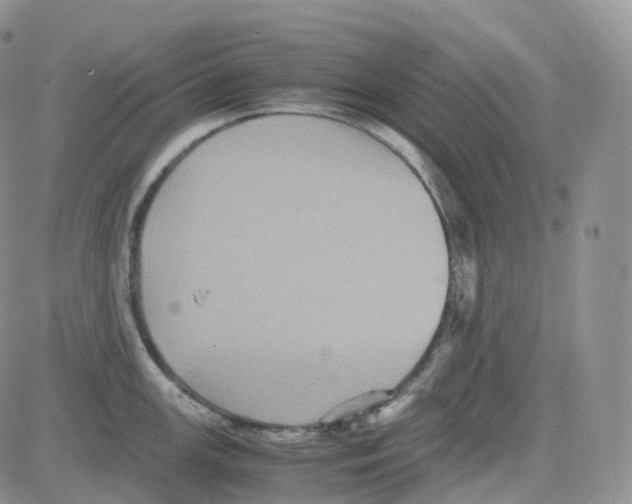 X0000082741147200702240006