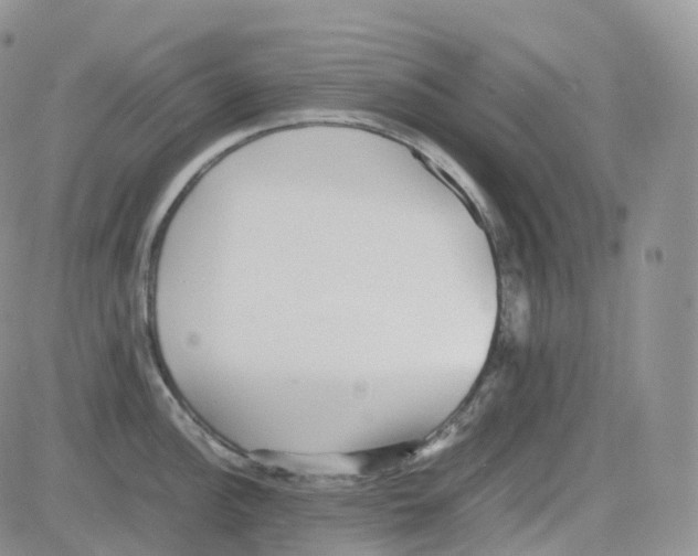 X0000082741148200702240006