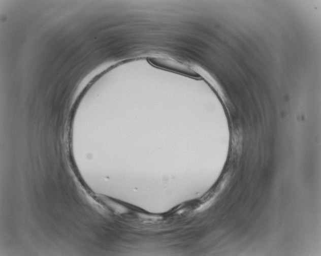 X0000082741149200702240006