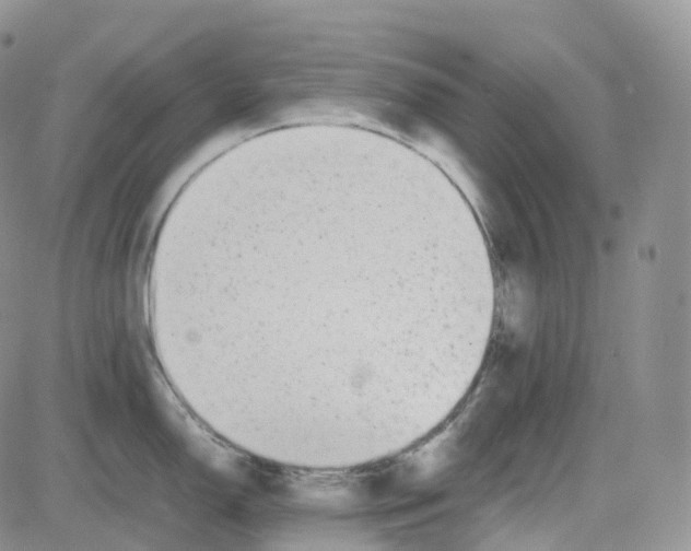 X0000082741150200702240006