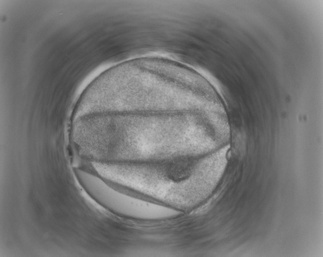 X0000082741151200702240006