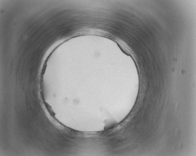 X0000082741152200702240006