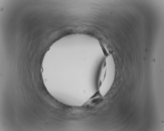 X0000082741153200702240006