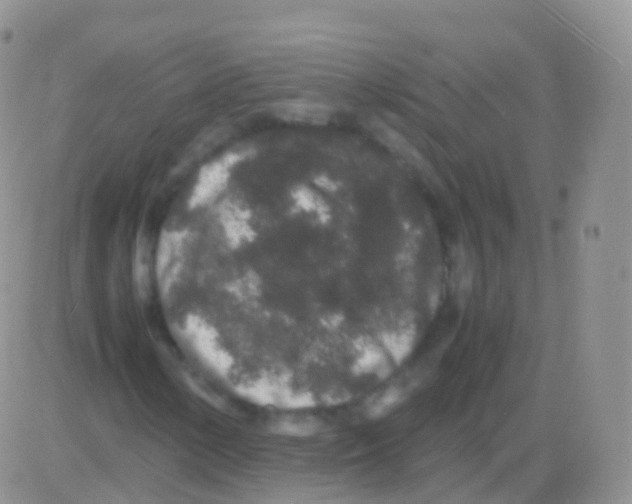 X0000082741154200702240005