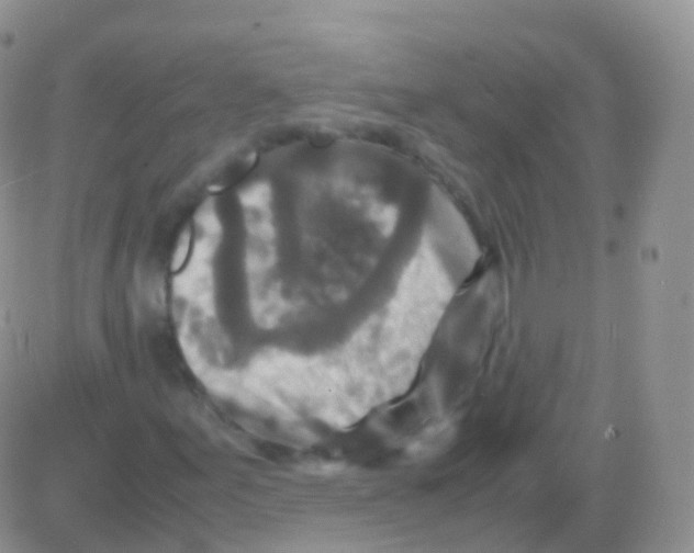 X0000082741155200702240005