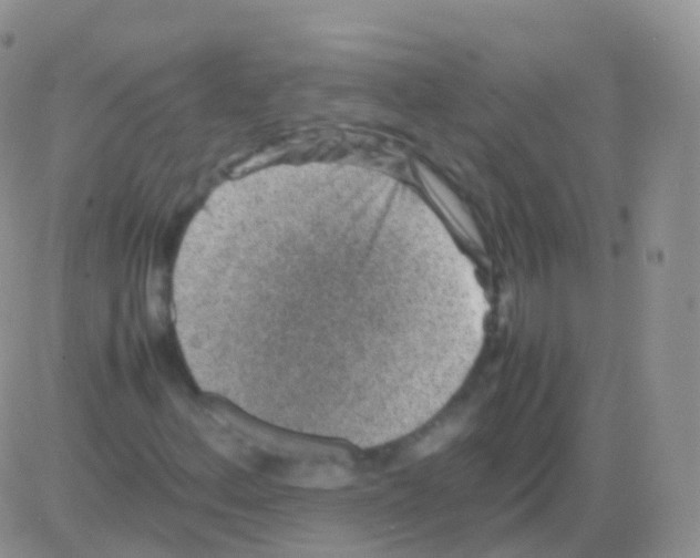 X0000082741156200702240005