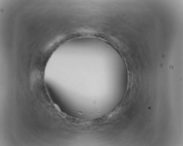 X0000082741157200702240005